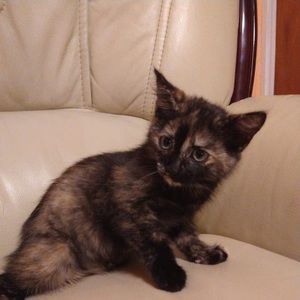 Meet your Posher, Ana